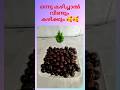 ഒന്ന് കഴിച്ചാൽ വീണ്ടും കഴിക്കും #Jackfruit Balls #Shorts #Viral Shorts