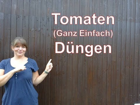 Video: Zwiebelschalen Für Tomaten: Tomatensetzlinge Füttern, Gießen Und Mit Dünger Im Gewächshaus Besprühen. Rezept Für Infusion Und Abkochung, Verwendung Von Phytophthora