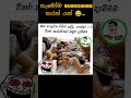 බණ ගෙදරක ගිහින් ඉද්දි පාන්දර කාමරේකට ඔලුව දැම්මම 😂#funny #memes #sinhala #viral #shortsviral #comedy