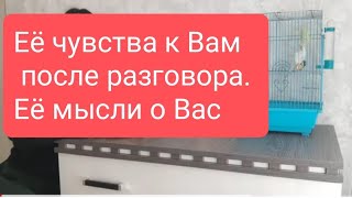 📌Еë Чувства К Вам После Разговора/📌🔥Еë Мысли О Вас🤔#Тародлямужчин#Таро#Тарорасклад