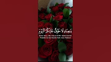 #قرآن_كريم_ بصوت_ القارئ_رعد_ الكردي