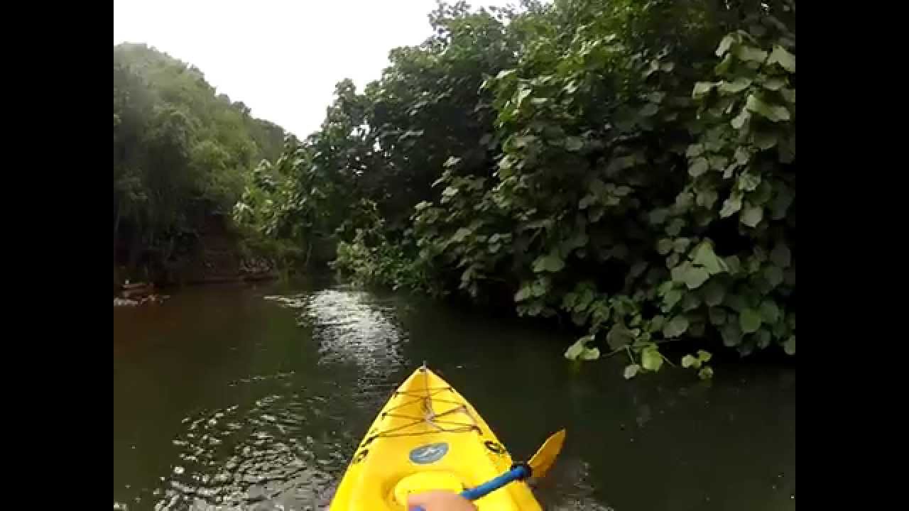 Kayaking at Wailua River, Kauai YouTube