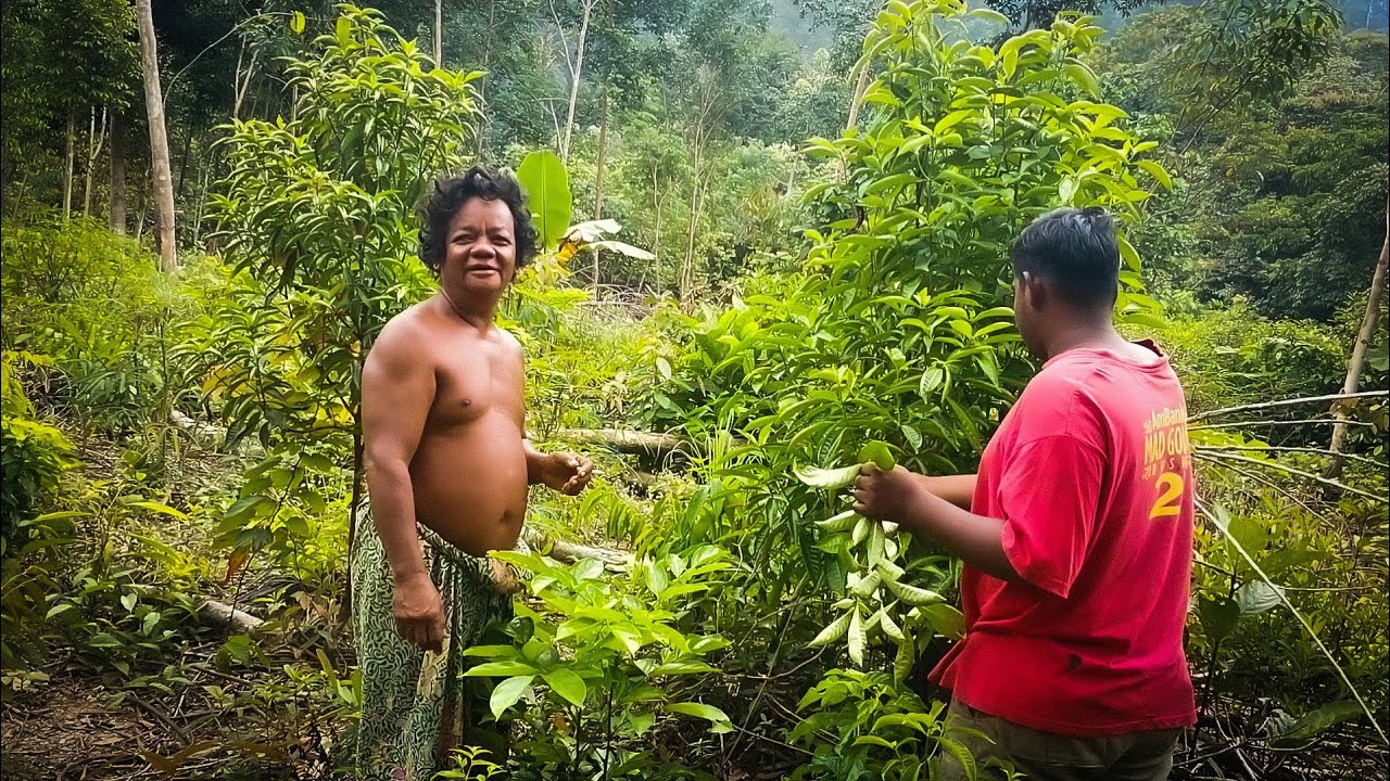 suku asli malaysia yang tingal di hutan