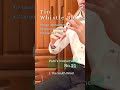 #Patriʼs_Instrument No.21 - #tinwhistle Bb (Michael Burke, aluminum) "The South Wind"
