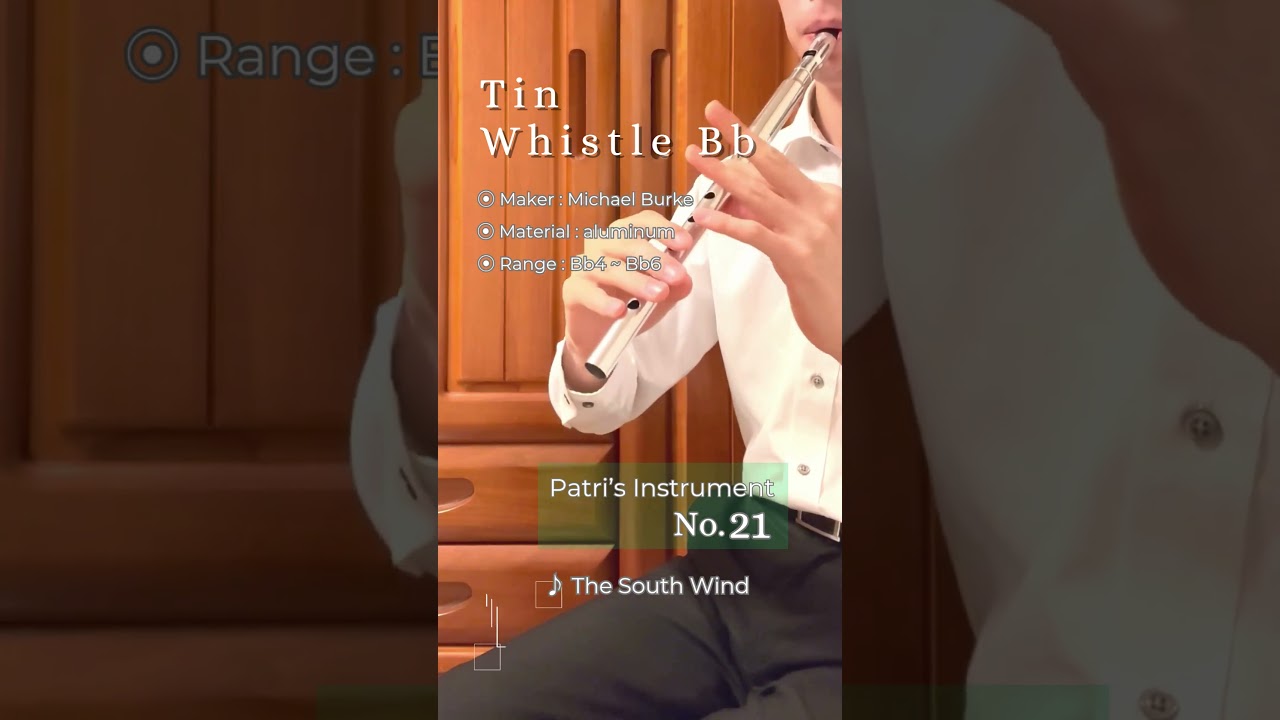 #Patriʼs_Instrument No.21 - #tinwhistle Bb (Michael Burke, aluminum) "The South Wind"