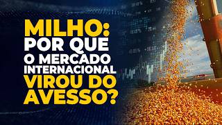 MILHO: POR QUE O MERCADO INTERNACIONAL VIROU DO AVESSO?