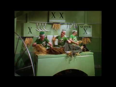 Wizard of Oz: The land of Oz