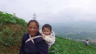 Zhaoyang Project