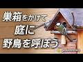 【庭に野鳥を呼ぶ】巣箱と見守りカメラを設置してみました
