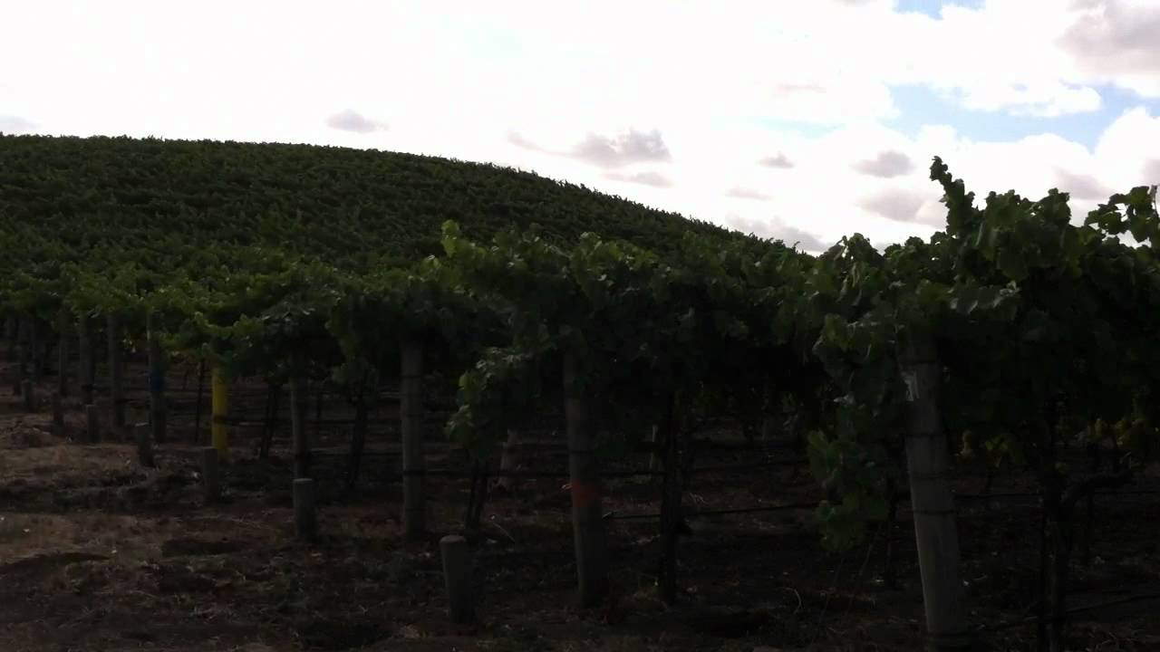 Rodgers Creek Sonoma Coast