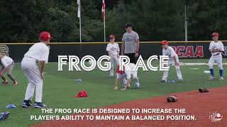 Rally Cap 21 | Frog Race