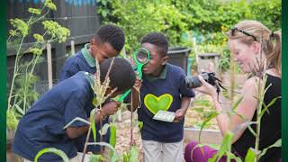 Julian Mitchell Elementary School Choice Overview