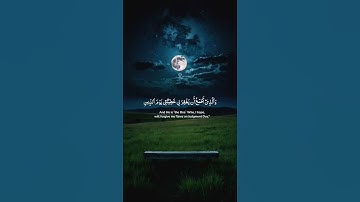 الذي خلقني فهو يهدين | قران كريم بصوت القارئ إسلام صبحي | قران كريم بصوت جميل جدا# راحة نفسية