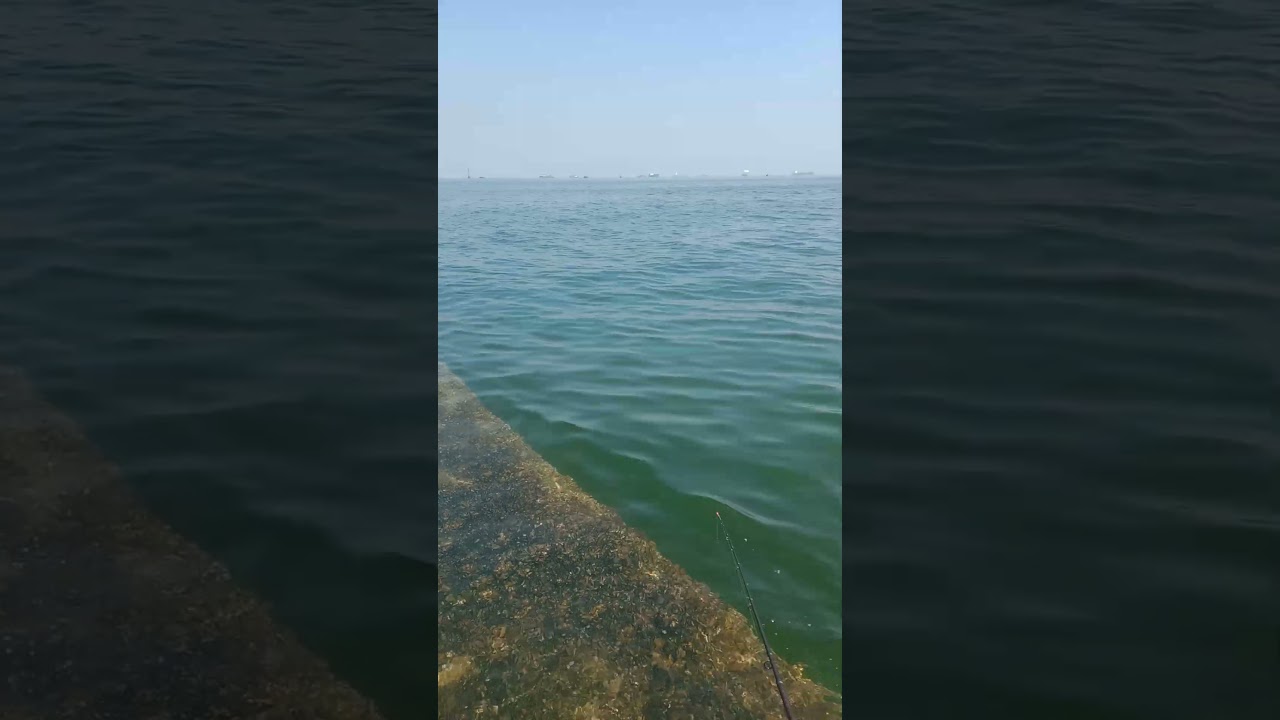 Dam merah semarang hot 💥 