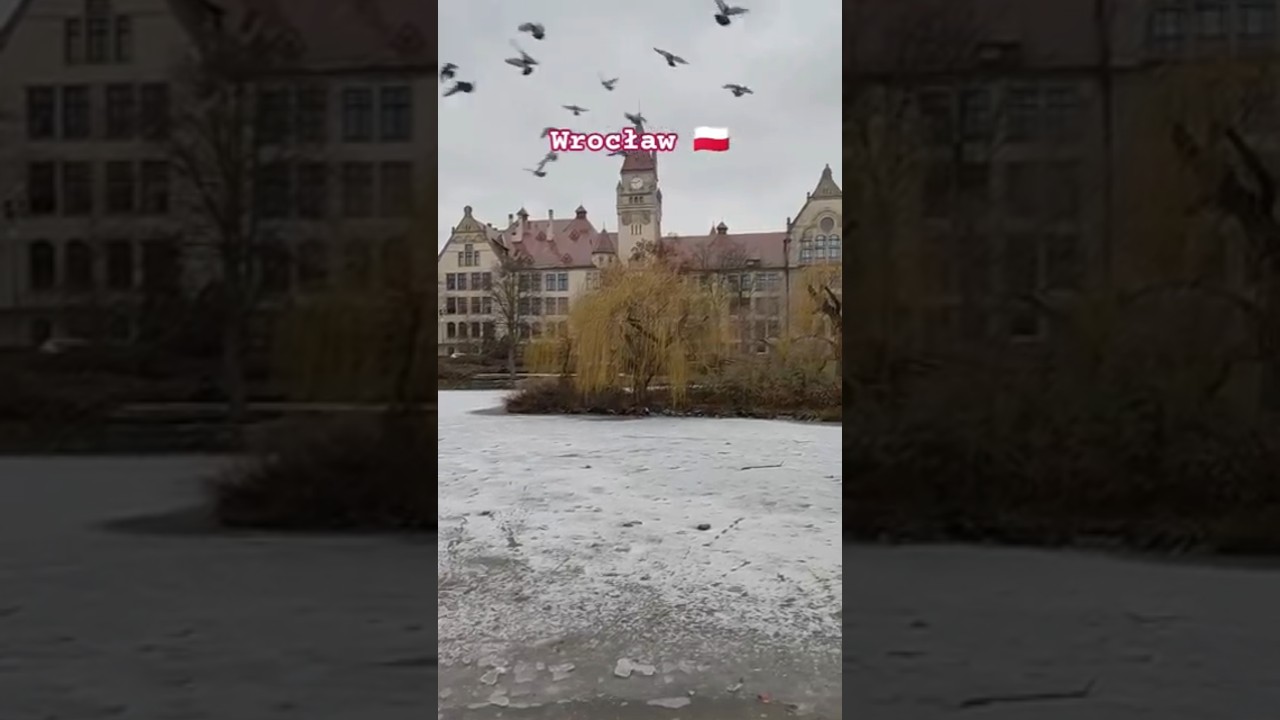 Stanisław Tołpa Park❄️☃️Wrocław🇵🇱 