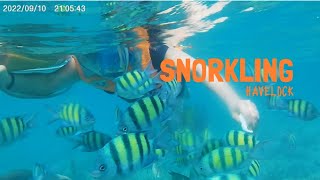 Snorkeling | Most Underrated water activity | Havelocl | Elephant beach | Ep-09 |