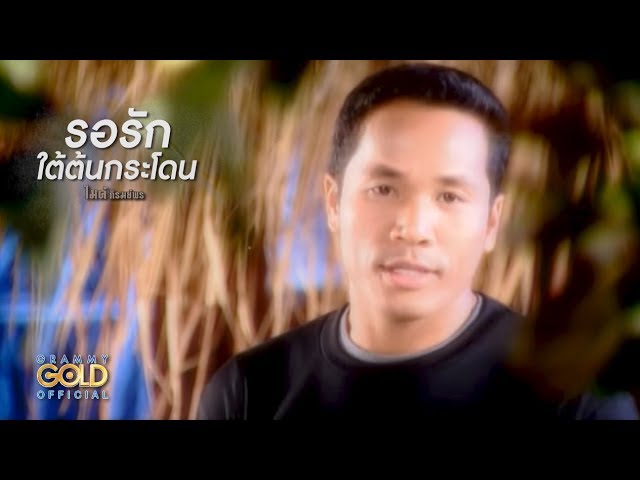 รอรักใต้ต้นกระโดน - ไมค์ ภิรมย์พร【OFFICIAL MV】