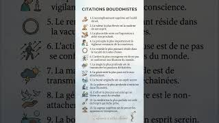13 Lois Bouddhistes Qui Vont Reprogrammer Ton Cerveau 🧠 #Sagesse