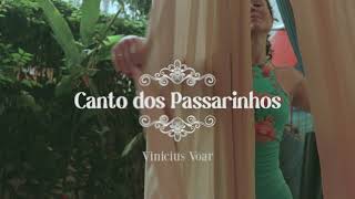 Vídeo de Canto Dos Passarinhos