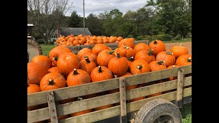 Virginia Pumpkin Growers Association Virtual Tour 2020