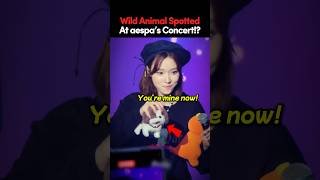 Winter’s Reaction to the “Wild Animal” at Concert #aespa #kpop #kpopidol