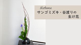 サンゴミズキと谷渡りの生け花】 初心者でもコツが分かればとっても