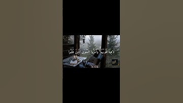 #القرآن_الكريم #تلاوات #صلوا_على_النبي #استغفر_الله #راحة_نفسية #سبحان_الله #الحمدلله #سورة