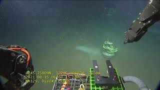 ROV Hercules Dive NA129 H1875 2021 08 15 05 51 21 474 UTC 18 ROV Hercules Dive NA129 H1875 2021 08 15 05 51 21 474 UTC 18