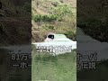 トヨタの宣伝に乗っかっているだけだ……韓国車が身の程知らずにもトヨタランドクルーザーと比較した本当の目的がヤバすぎる