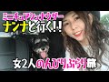 シュナウザー ナンナ♀と行く 女子のんびりぶらり旅！ドッグラン＆ドッグカフェ