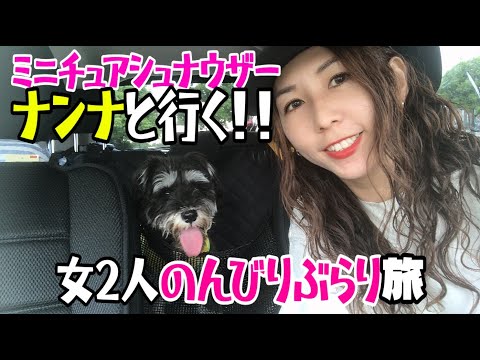 シュナウザー ナンナ♀と行く 女子のんびりぶらり旅！ドッグラン＆ドッグカフェ