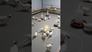 FlockTwin Population: Digital Twin Intelligence for Laying-Hen Flocks | MooAnalytica