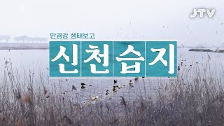 screenshot of the youtube video