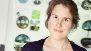 What physicists do with light: Dorothea Samtleben
In the FOM Annual Report 2014 physicists tell us about their research into light.
You can read the interviews here (in Dutch):
http://www.fom.nl/live/overfom/jaarverslagen/artikel.pag?objectnumber=292431&referpagina=14197
Who?
Dorothea Samtleben completed her PhD in particle physics in Hamburg, Germany. She subsequently worked as a postdoctoral researcher in Chicago and Bonn. Since 2010 she works as a guest researcher at the National Institute for Subatomic Physics Nikhef. She teaches quantum physics and optics at the Leiden University.
Transcript:
I am Dorothea Sambtleben, data physicist. I want to use light to show signals from particles in space. We are astronomers really, so we work as physicists in astronomy. We dont use light to get information from the universe, but we use particles. And we call them neutrinos. They have specific characteristics that make then useful for this research. And we think that we can get more information from the distant universe than looking at light as astronomers do.
In a supernova, much energy is in the form of neutrinos. Many other particles are scattered
throughout the universe. If theyre charged, you dont know where theyre from. Photons are there too but extinguished. They wont penetrate a dense explosion with lots of material. But with neutrinos you get more information from a distance, and also information from very dense material.
With KM3NET we hope, in the end, to start studying the field of neutrino astronomy.
What I hope to achieve with light in my research is to make particles visible you wouldnt otherwise see. Well put our detector where it is very dark, at the bottom of the Mediterranean. Well look for photons using very light-sensitive detectors. Then we can visualise several photons and in that way show where particles went. In that way we can learn a lot about the universe, about the cosmic sources of neutrinos, which are possible in this universe. What physicists do with light: Dorothea Samtleben