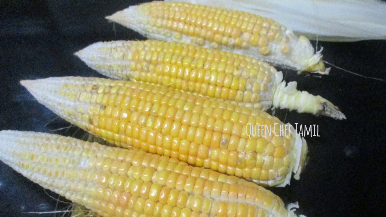 Corn Cleaning Process In Tamil How To Cook Corn In Detail Easy