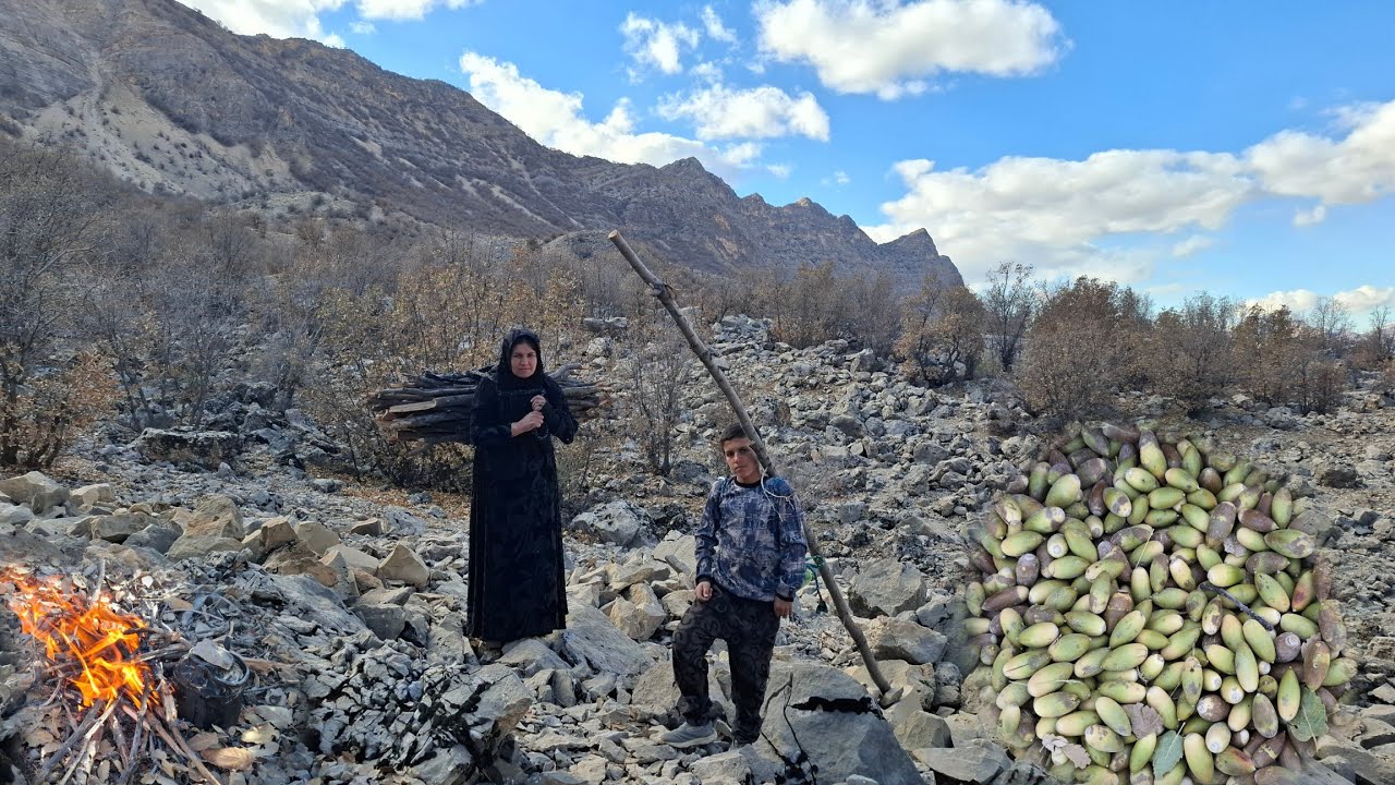 Nomadic life in Iran | Collecting firewood in the mountains to combat ...