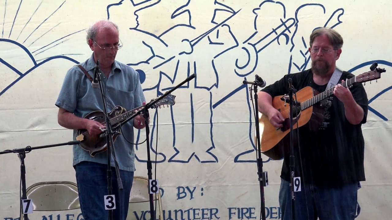 Arnie Solomon - Dusty Miller