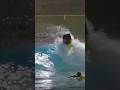 Surfing Bristol's INSANE Wave Pool #surf #surfing #wave #bodyboard #wavesurfing #flowstate #surfer