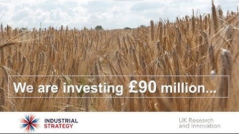 Transforming food production - part of the Industrial Strategy Challenge Fund