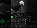 عيدها لين تفهم هكذا هم الاشخاص 🖤 ﴿ #أجمل_عبارات_قصيرة ﴾ تصميم ستوريات انستغرام - اقتباسات حب