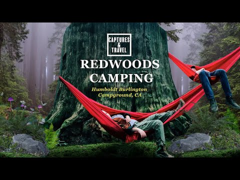 Redwoods National Park: Best Campground in Humboldt California