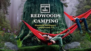 Redwoods National Park: Best Campground in Humboldt California