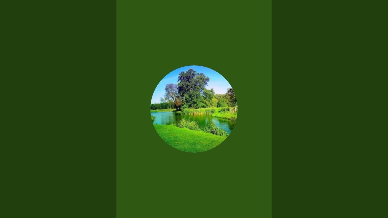 Katihar City, Bihar, Beautiful Nature Safari is live