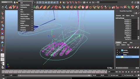Custom Foot Attributes