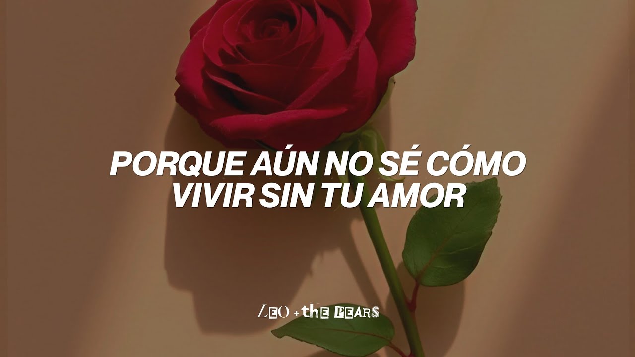 Shakira - Antologia (Letra)