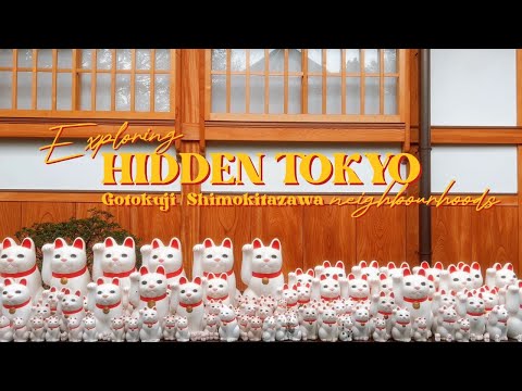 HIDDEN TOKYO ⛩️ Gotokuji Temple 🐱 japan solo travel vlog 2023