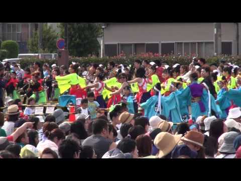 湘南よさこい総踊り（Ⅱ）＠2015　湘南よさこい