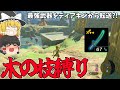 【switch2】ティアキンから武器転送したら木の枝縛りのマスターモード余裕説!!【ゼルダの伝説 ティアーズ オブ ザ キングダム】【ゆっくり実況】