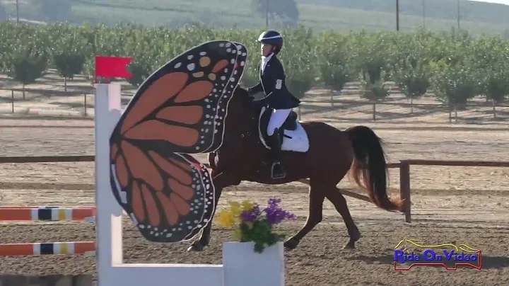 130S Avery Jones on Manaslu JR Novice Show Jumping Twin Rivers Ranch Sept. 2022