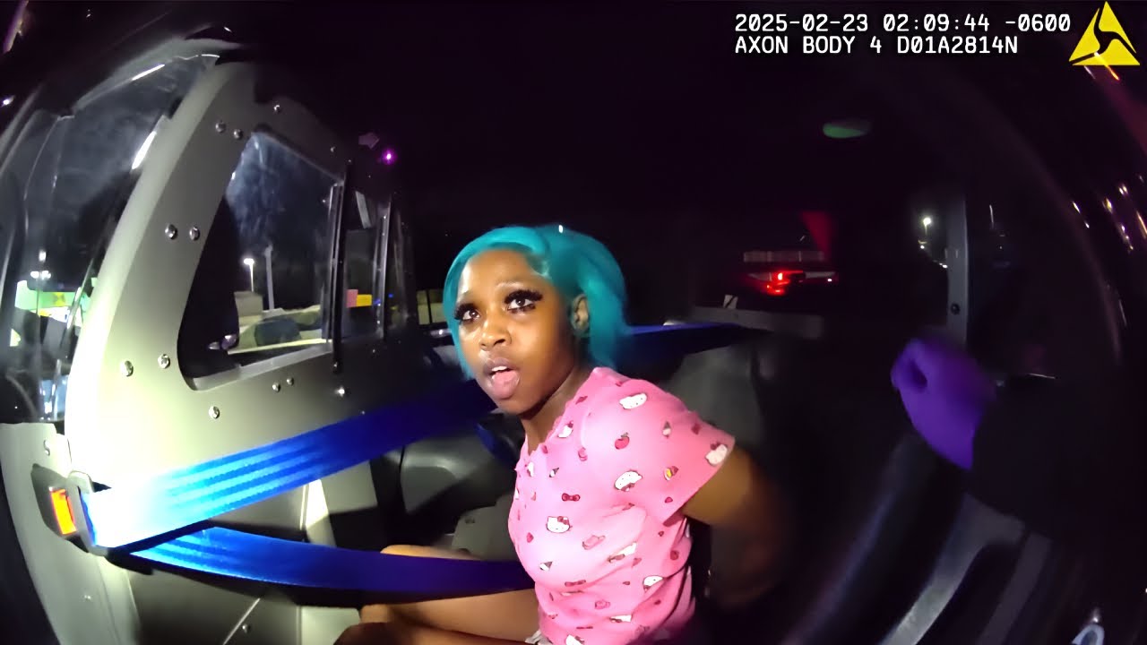 A Routine Traffic Stop Turns Into a Felony for Everyone! - YouTube